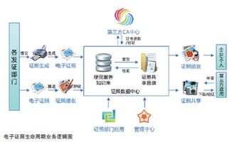 深化政務服務應用，科技與計算機技術服務助力政府數字化轉型