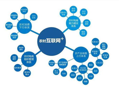 農村電商的發展現狀、問題及趨勢 計算機技術服務的機遇與挑戰